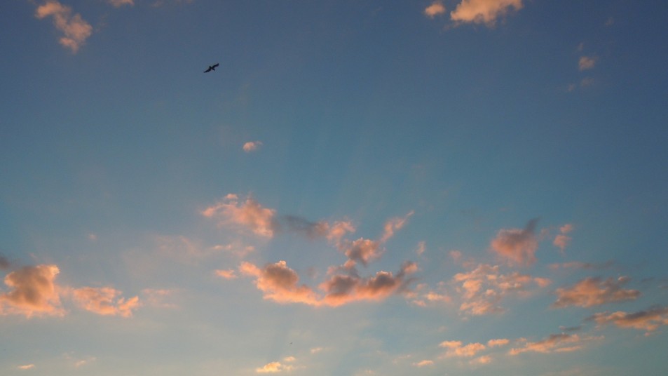 Abendlicht